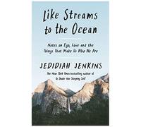 Jedidiah Jenkins – Like Streams to the Ocean – Notes sur l'ego, l'amour et ce qui nous définit