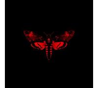 Lil Wayne - I Am Not a Human Being II (Clean) Clean Edition by Lil Wayne (2013) Audio CD