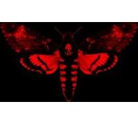 Lil Wayne - I Am Not a Human Being II