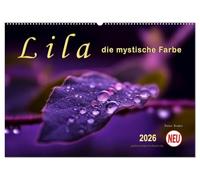 Lila - die mystische Farbe (Wandkalender 2026 DIN A2 quer), CALVENDO Monatskalender: Die Farbe Lila, mystisch und unergründlich, Verbindung zwischen warmen Rot und kalten Blau.