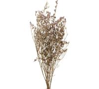 Lilas de plage Limonium Fleurs séchées Violet 70cm 50g Décoration Produit naturel