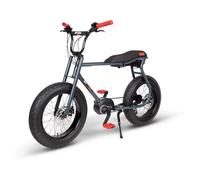 Lilbuddy 20 7v 300wh Bosch Active Line Anthracite RCE1019 Ruff Cycles Aide Comme