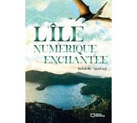 L'île numérique enchantée