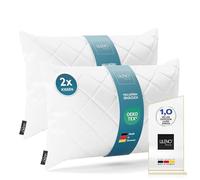 LILENO HOME Insert de coussin, lavable à 95 °C, pour les personnes souffrant d'allergies, en polyester, convient comme coussin de canapé, de cocktail ou comme oreiller, 30 x 50 cm (lot de 2)