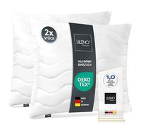 LILENO HOME Lot de 2 coussins de 30 x 30 cm, rembourrage canapé/lit - Fermeture éclair ajustable - Lavable jusqu'à 95 °C