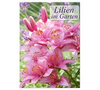 Lilien im Garten (Wandkalender 2026 DIN A2 hoch), CALVENDO Monatskalender: Prachtvoll leuchtende Lilien in der Natur