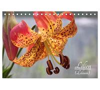 Lilien (Lilium) (Tischkalender 2026 DIN A5 quer), CALVENDO Monatskalender: Die Lilien (Lilium) sind eine Gattung der Familie der Liliengewächse (Liliaceae) mit rund 115 Arten.