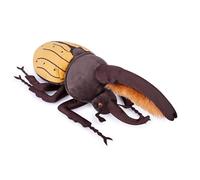 lilizzhoumax Jouets en Grande Peluche hallebarde 25cm/10” Simulation Jouet en Poupée Réaliste Peluche Insecte Jouets Animaux Sauvages en Peluche Insecte Cadeau pour Les Amis et Les Enfants