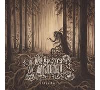 Liljevars Brann - Helja Kor