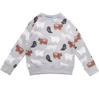 Lilly And Sid Crew Sweatshirt Gris 6-12 mois Male