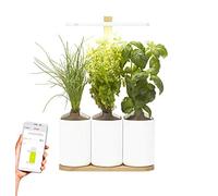 Lilo Connect, le potager d’intérieur connecté de Prêt à Pousser - Cultivez toute l’année simplement - Inclus Basilic Grand Vert, Basilic Citron et Ciboulette