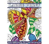 Lilt Kids Color Large Print Color By Number Butterflies, Birds, and Flow (Poche)