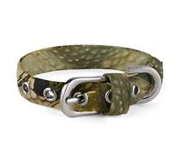 Lily and Frog Collier pour chien réglable doux et confortable avec boucle en métal pour animal domestique de petite et moyenne taille