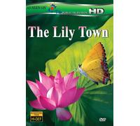 Lily Town
