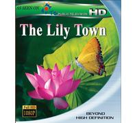 Lily Town [Blu-Ray]