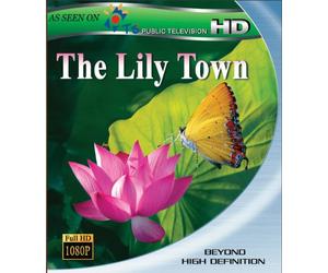 Lily Town [Blu-Ray]