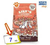 Lily's Kitchen – Aliments secs chiens adultes – Poulet, saumon, petits pois – Sans céréales – 7 kg