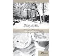 L'image-charnière ou le récit d'un regard Daphné Le Sergent (Auteur)