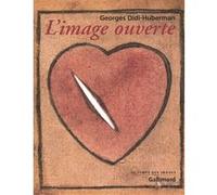 Georges Didi-Huberman – L'image ouverte – Motifs de l'incarnation dans les arts visuels – Gallimard