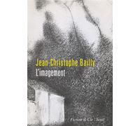 L'Imagement - Jean-Christophe Bailly - Seuil - broché - Essai