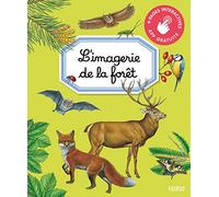 L'imagerie de la forêt