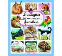 L'imagerie des animaux familiers