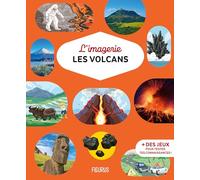 Les Volcans