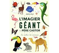 L'Imagier géant du Père Castor - La couleur des animaux