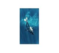 LIMAIDUO Affiche murale de paysage marin, plongée sous-marine, méduses, style nordique, impression sur toile, décoration intérieure (80 x 150 cm/cadre intérieur)