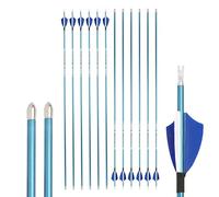 limaity 12 pièces flèches de tir à l'arc en Carbone 400/500/600/700/800/900/1000 Spine Flèche d'entraînement au tir à l'arc pour Arc recourbé Arc à poulies Arc Long (Bleu, Spine 1000)