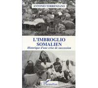L'imbroglio Somalien - Historique D'une Crise De Succession