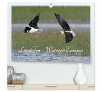 Limikolen - Watvögel Europas (hochwertiger Premium Wandkalender 2026 DIN A2 quer), Kunstdruck in Hochglanz: Schnepfen und Regenpfeifer gehören zu den ... und Herbst in ihre Überwinterungsgebiete.