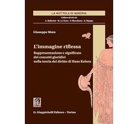 L'immagine riflessa. Rappresentazione e significato dei concetti giuridici nella teoria del diritto di Hans Kelsen