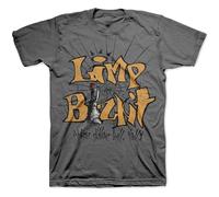 Limp Bizkit 3 Dollar Bill Official Tee T-Shirt Mens Unisex Grey XL