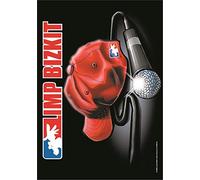 Limp Bizkit Drapeau de Poster