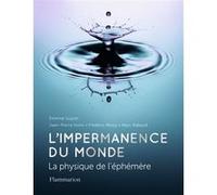 L'impermanence du monde Jean-Pierre Hulin (Auteur), Frédéric Moisy (Auteur), Etienne Guyon (Auteur), Marc Rabaud (Auteur), Naïs Coq (Illustration)