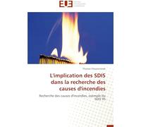 L'implication des SDIS dans la recherche des causes d'incendies: Recherche des causes d'incendies, exemple du SDIS 95