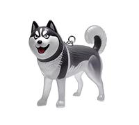 Limtula 1 / 6pcs Storage De Cheveux Pet Storage Keychain Memorial Container Dog Furs Collecteur Pendants Pendants pour LA Perte SOURMES CONSET