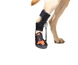 Limtula Chaussures correctrices pour chien avec bobine pour traîner les pattes, soulever en toute sécurité les orteils, les gouttes de pied, attelle de pied avec bobine pour chiens ayant des problèmes