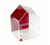 Limtula Habitat pour Reptiles Contenant Une Ventilation, Fermeture magnétique, Chambre Transparente, enclos pour créatures Miniatures, Terrariums