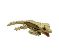 Limtula Jouet d ' Apprentissage Lézards articulés imprimés en 3D avec Fonction magnétique, idéal pour et étudier la décoration du réfrigérateur, modèle de scinque éducatif