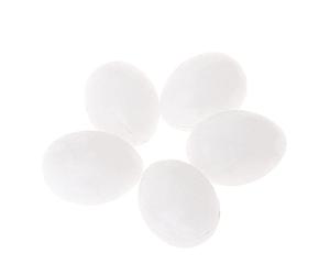 Limtula Paquet de 5 œufs en Plastique pour perroquets Solides pour Conure | Petits faux œufs pour Pigeons, guide les colombes pour obtenir des oiseaux pondant des œufs pour l ' artisanat