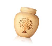 Limtula Pot de crémation artistique pour cendres de petite taille - Urne commémorative pour animal domestique