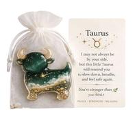 Limtula Zodiacs Pocket Hug Souvenirs Inspirants Échange de Cartes de Relation pour Les collègues de la Famille Zodiacs Pocket Hug Tokens Exchange Carte de Relation