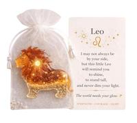 Limtula Zodiacs Pocket Hug Souvenirs Inspirants Échange de Cartes de Relation pour Les collègues de la Famille Zodiacs Pocket Hug Tokens Exchange Carte de Relation