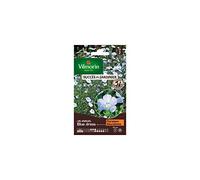 Lin Annuel Blue Dress - Graines d'Exception