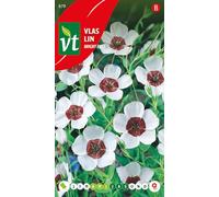 Lin Bright eyes Graines - Petites fleurs blanches au cœur rouge foncé