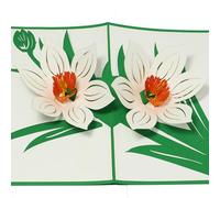 LIN17749, Carte pop-up - Fleurs - Jardin - Carte d'anniversaire 3D - Carte de vœux avec fleurs - Motif floral - Carte pliante - Cartes cadeaux N708