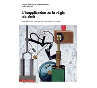 L'inapplication de la règle de droit Exploration des contours d'un phénomène mal connu - Stéphanie Renard - Mare & Martin - broché - Etude