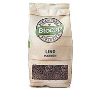 LINAZA SEMILLA MARRON BIO 250G